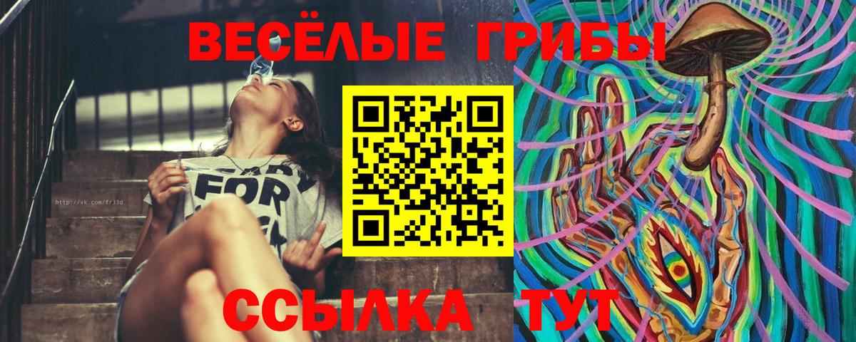 Галлюциногенные грибы Psilocybe  Галлюциногенные грибы Psilocybe  Дмитров  Вход с VPN 